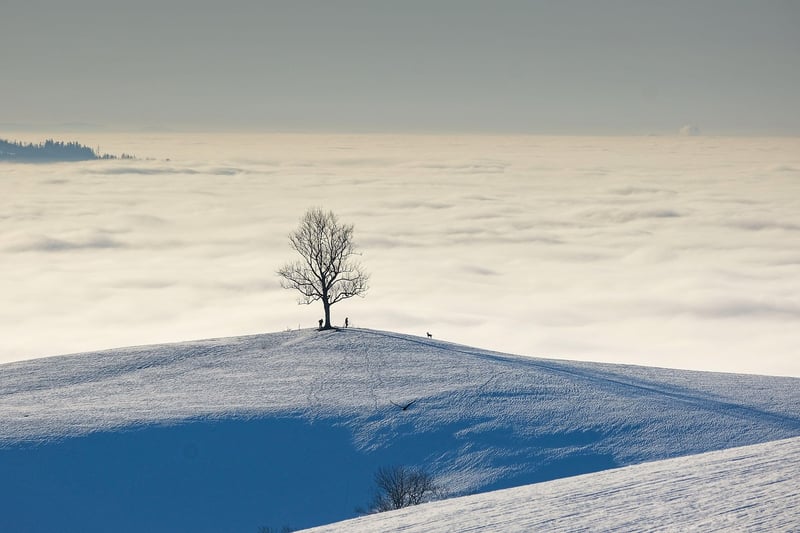 Mountain Landscape